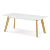 Benecia Wooden Rectangular Coffee Table In White